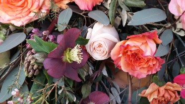 Detail Trauer Christrose