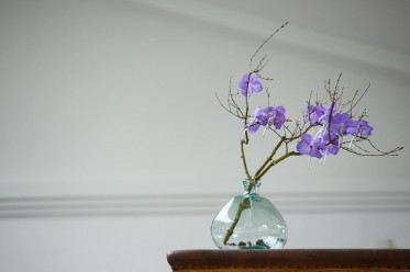 Elegantes Blumenabo in Vase