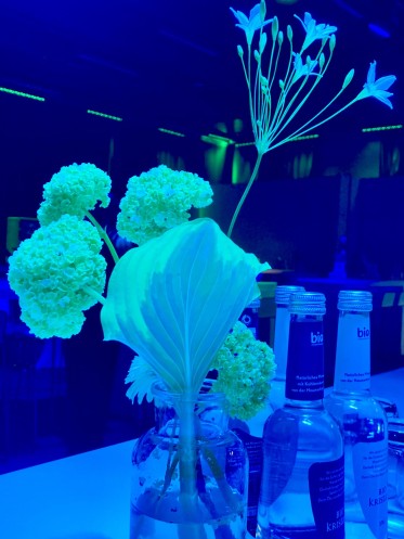 Eventfloristik in Corporate Design Farben