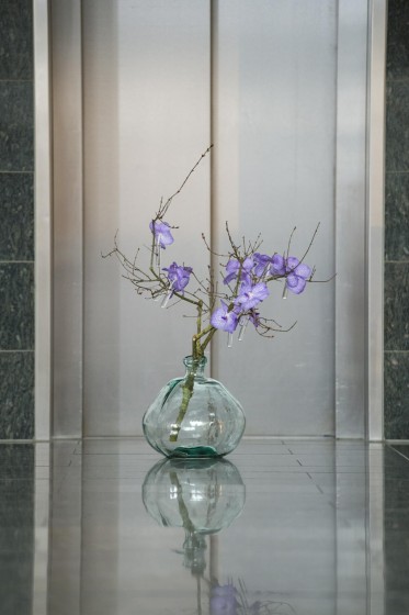 Elegantes Blumenabo in Vase
