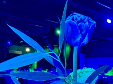 Eventfloristik in Corporate Design Farben